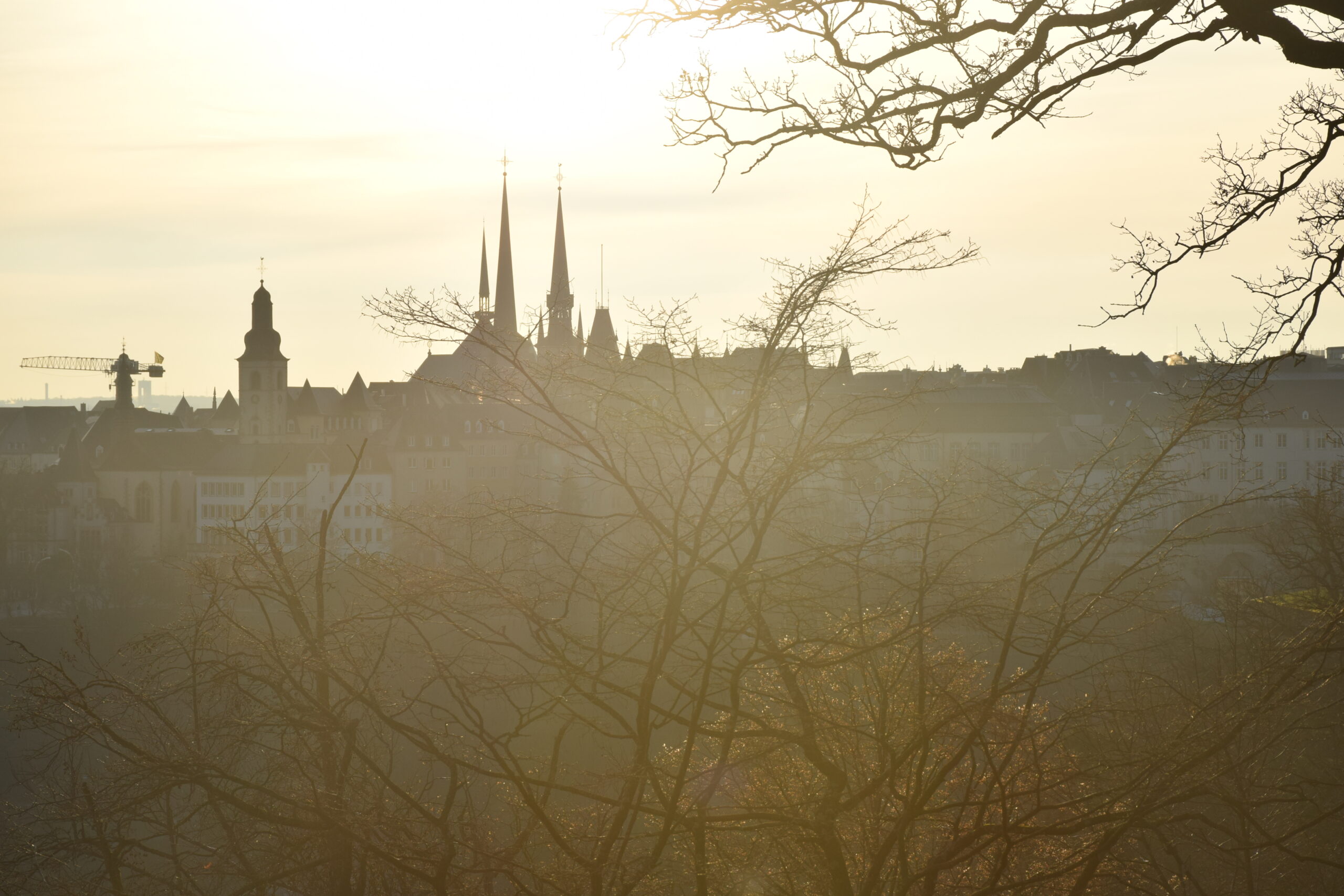 (c) zinneke cc by sa