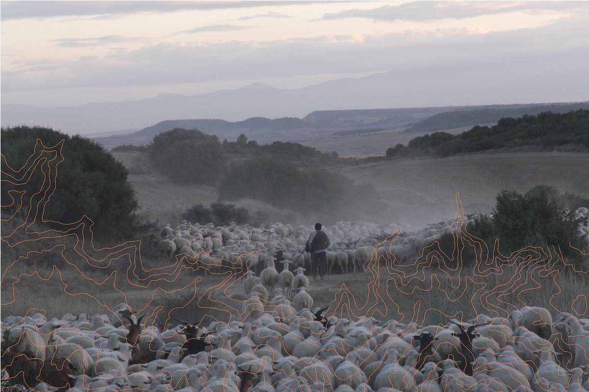 Dgartes pt paths of grass and rock