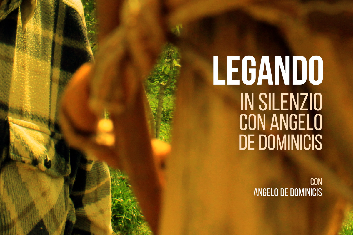 In conversation. in silence with angelo de dominicis