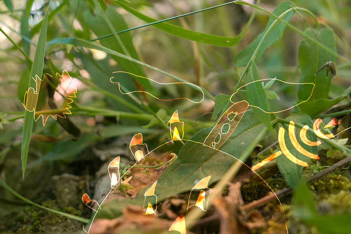 Sketch&sound2025 1200x800