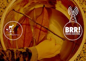 Binaural Radio Rural 27 1200x800