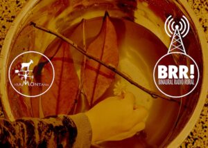 Binaural radio rural 27 1200x800