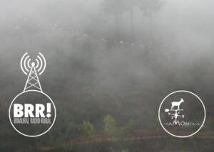 Binaural radio rural 28 1200x800