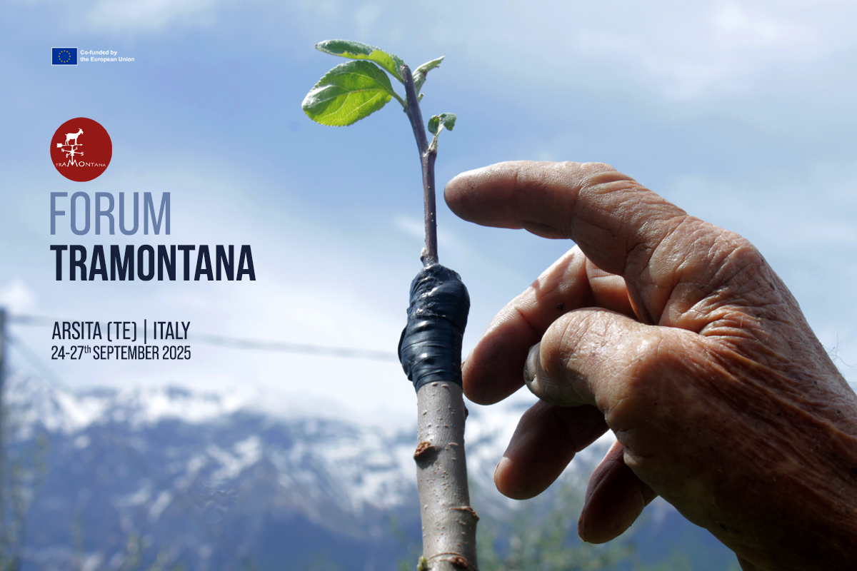 Forum italy sito tramontana