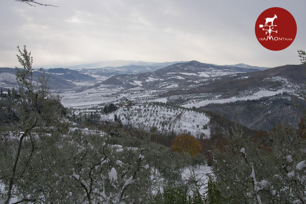 Songs, sonatas and tales with “i suonatori della leggera