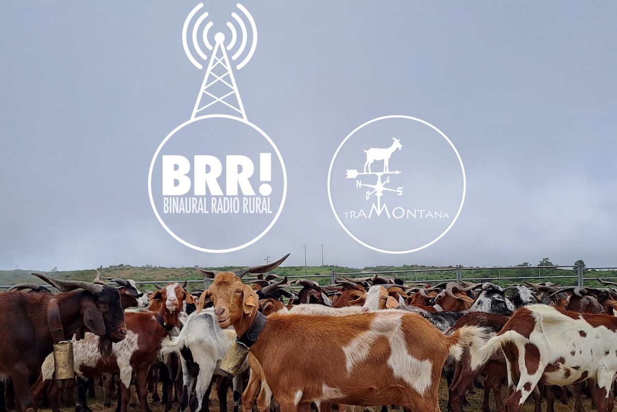 Binaural radio rural 29