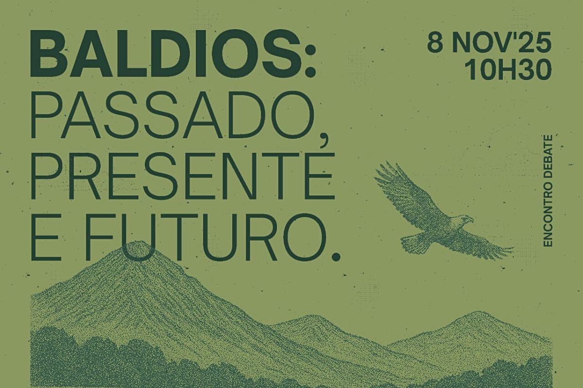 Common lands past present and future