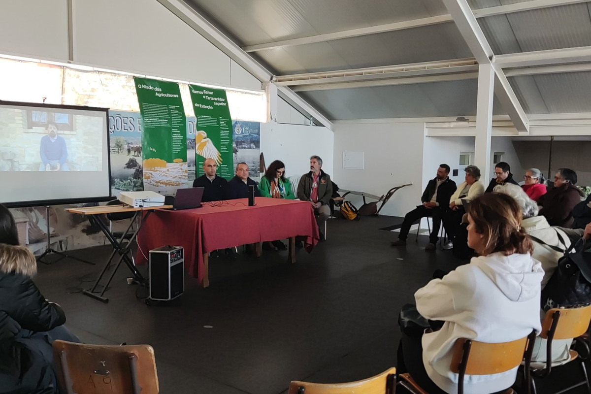 Reimagining Common Lands for tomorrow