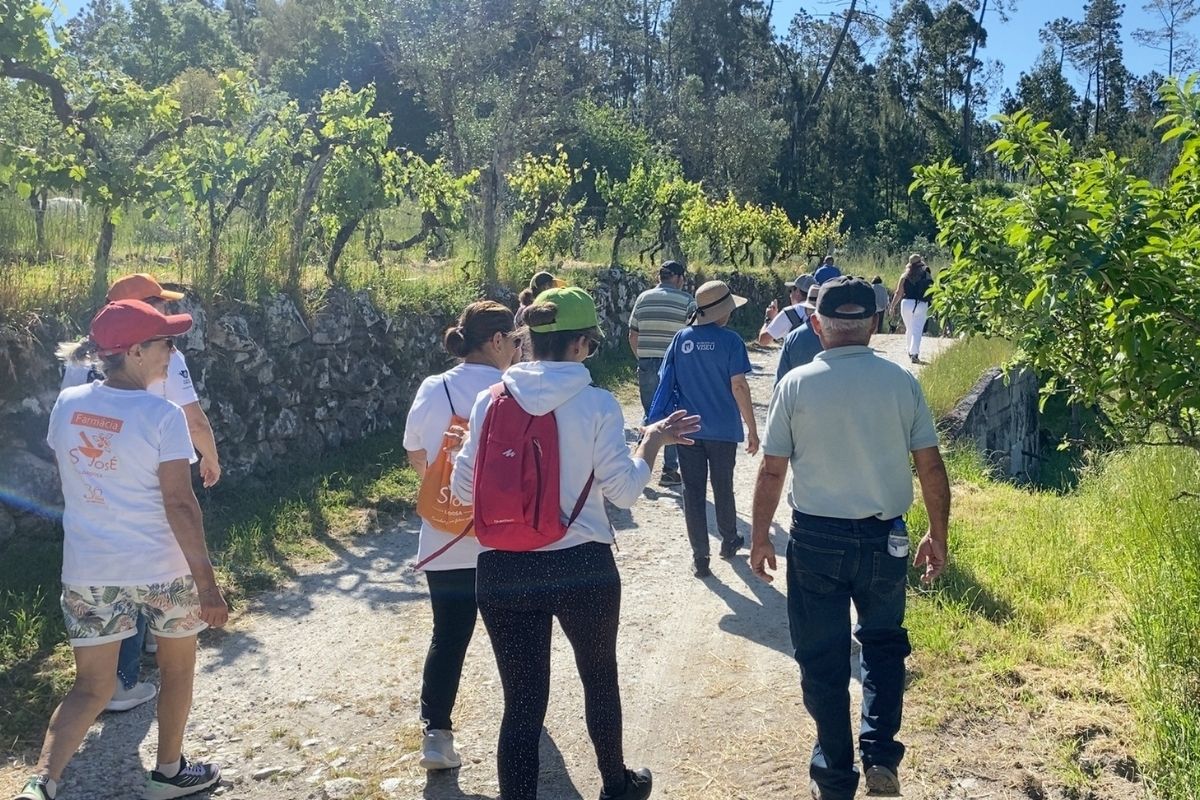 Sound Walk to the Fulling Mill