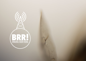 Binaural Radio Rural 32 1200x800
