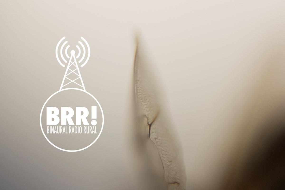 Binaural Radio Rural 32 1200x800
