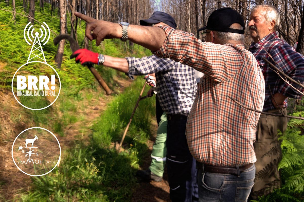 Binaural Radio Rural 33 1200x800