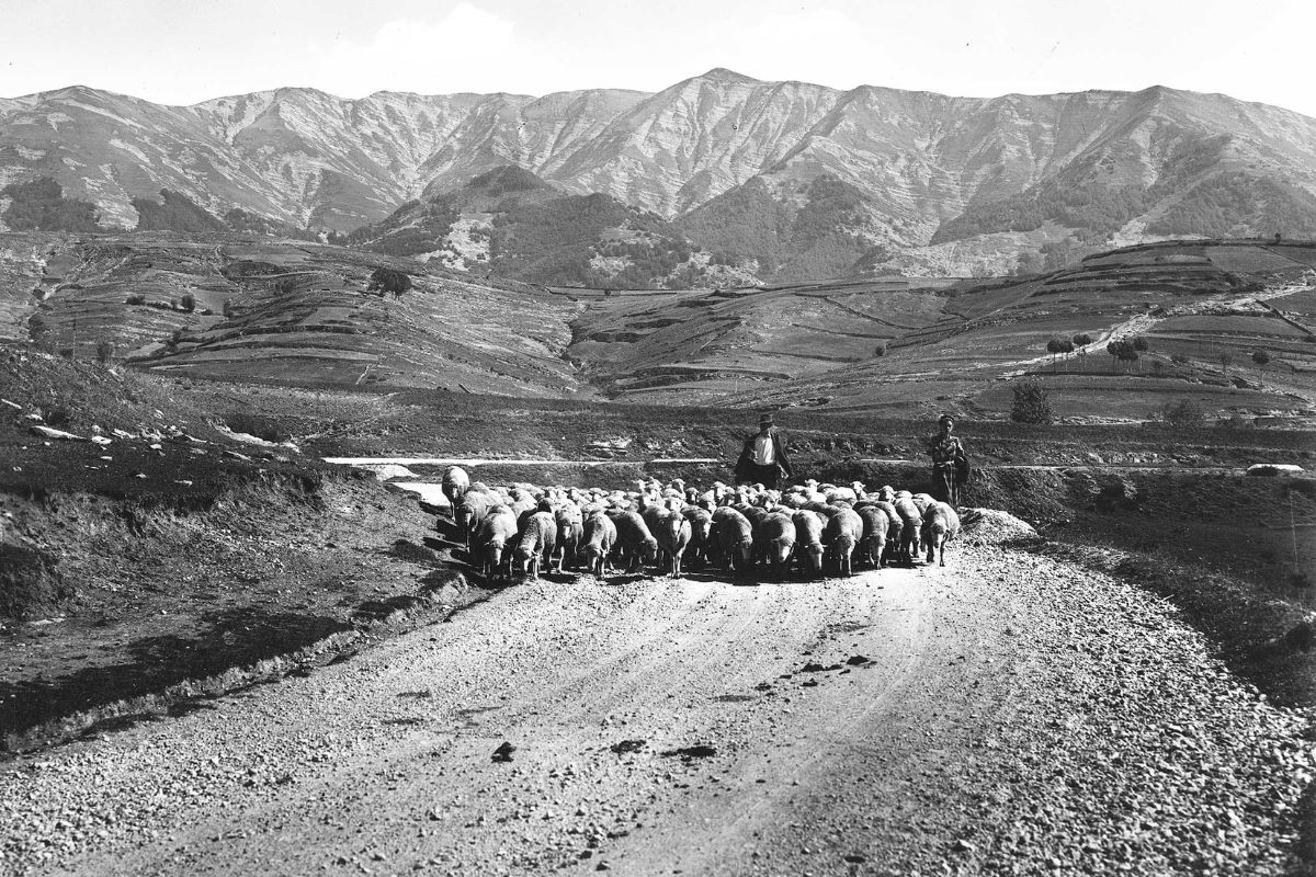 Gregge Romane. Poema Book Launch