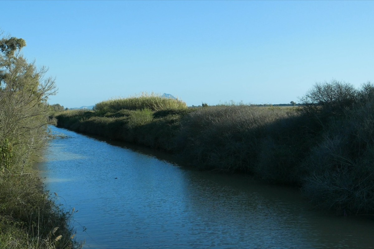 Channels of Water and Food