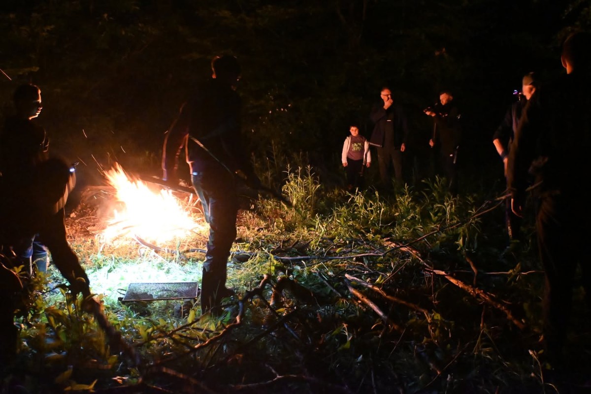 Codor, the Green Man: field research on a Pentecost ritual in Transylvania