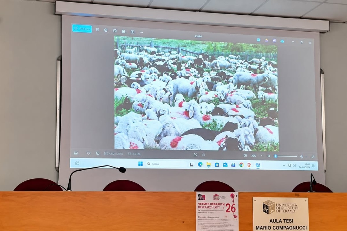 Gianfranco Spitilli lectures on the frontiers of the wild at the University of Teramo