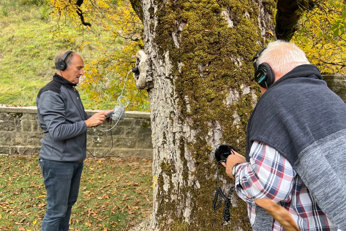Listening to plants: a sound recording workshop under the walnut trees of Garde