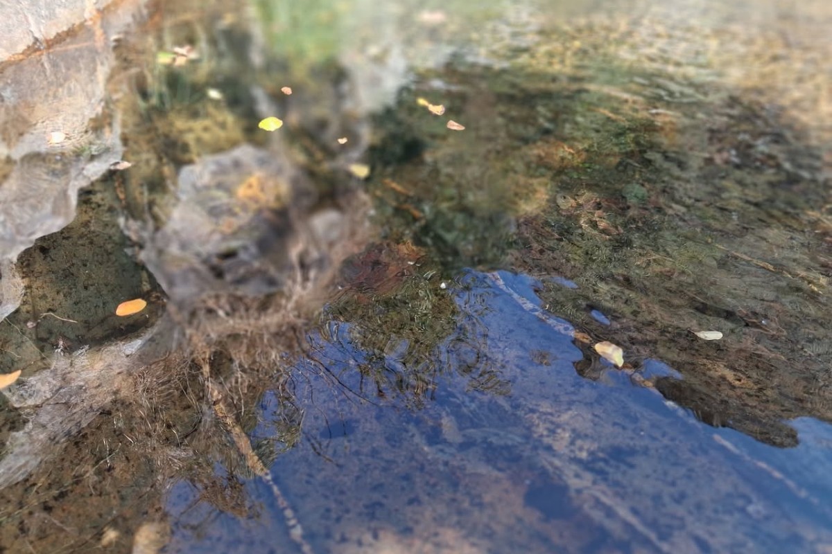 Six artists and researchers in residence in the Montemuro mountains