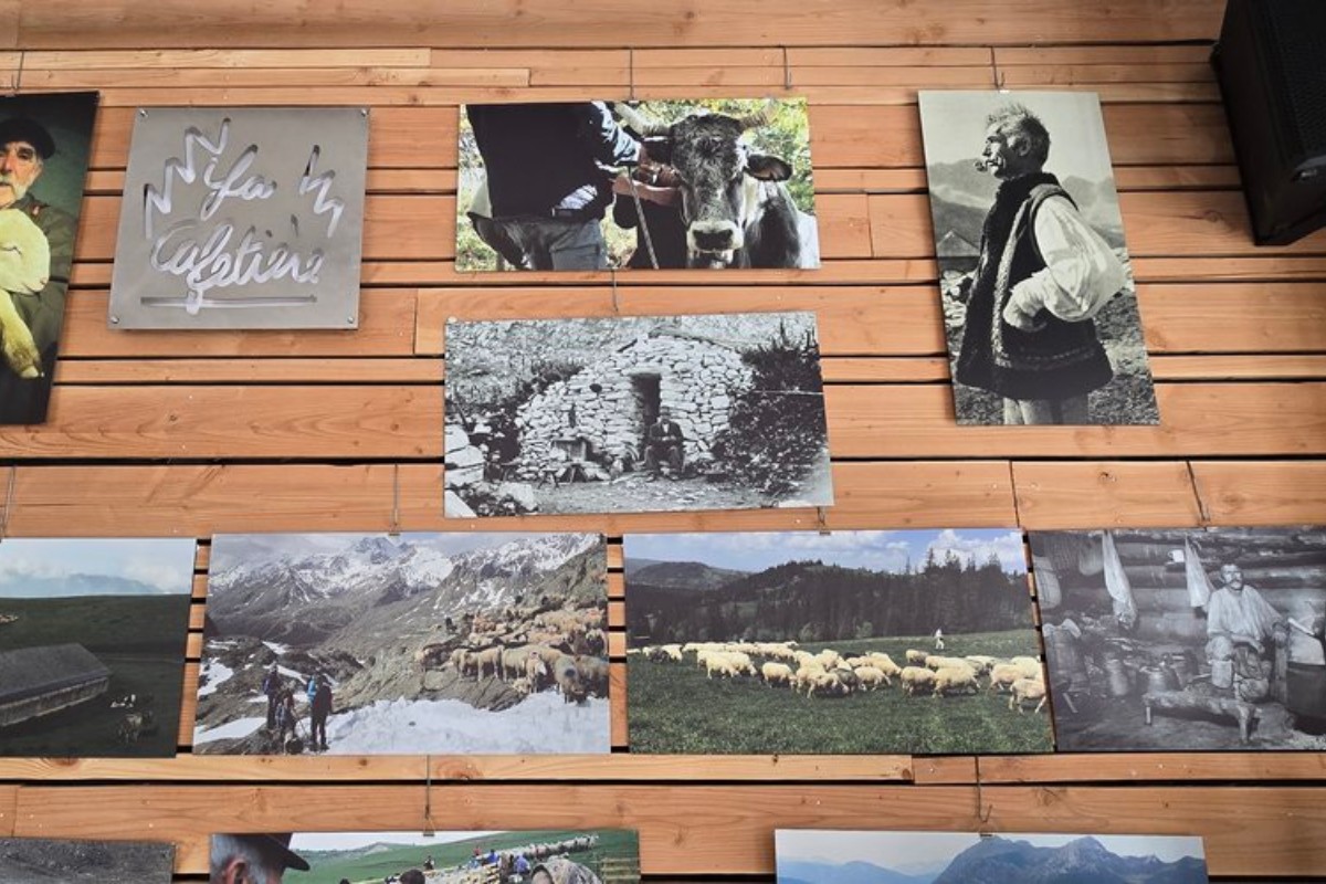 The exhibition “European Transhumances” at La Cafetière in Aurignac